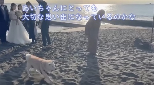 家族とあいちゃんの大切な思い出