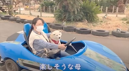 家族とあいちゃんの大切な思い出