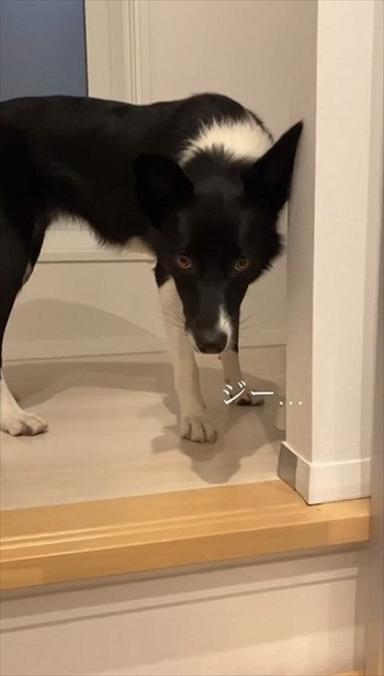 悲しそうな表情