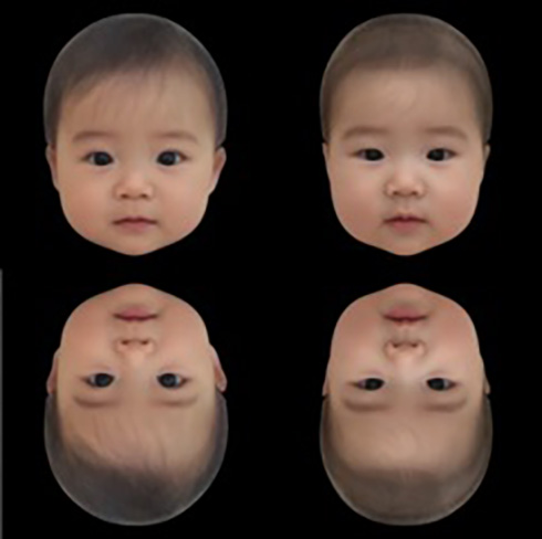 赤ちゃん かわいい 実験