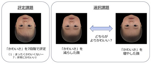 赤ちゃん かわいい 実験