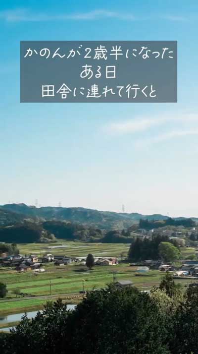 田舎に行った柴犬