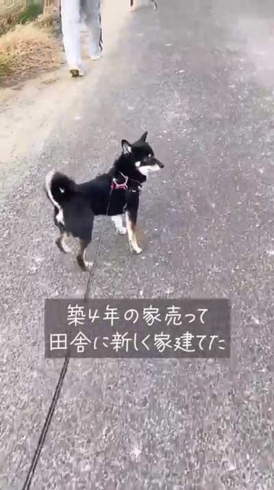 愛犬のために引っ越し