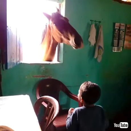 子どもが歌うと馬も踊り出す