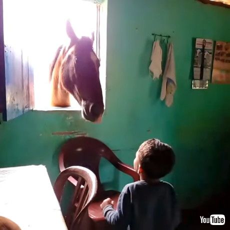 もっと男の子の歌を聞きたそう