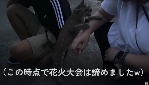 この時点で花火大会は諦めましたテロップ