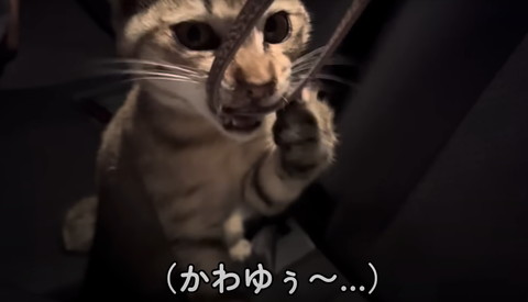 かわゆうえテロップ