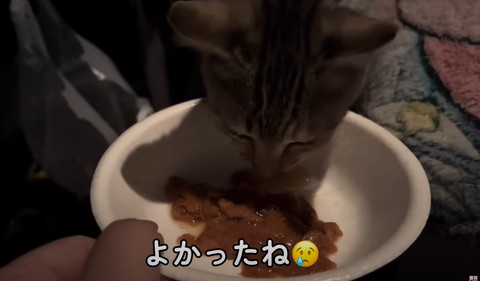 よかったねテロップ