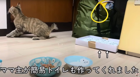 トイレも作ってくれましたテロップ