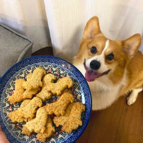 コーギーのクッキー