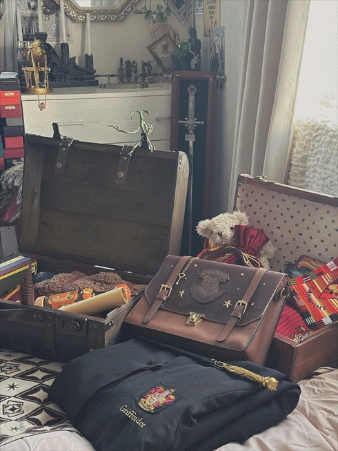 ハリーポッター　グッズ　ファンタスティック・ビースト