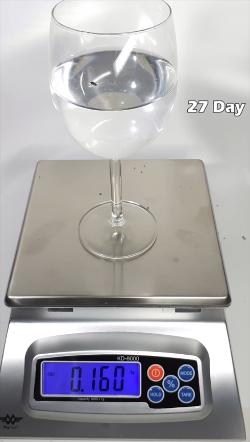 九相図　タイムラプス　水　蒸発