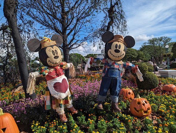 ディズニー・ハロウィーン かかし