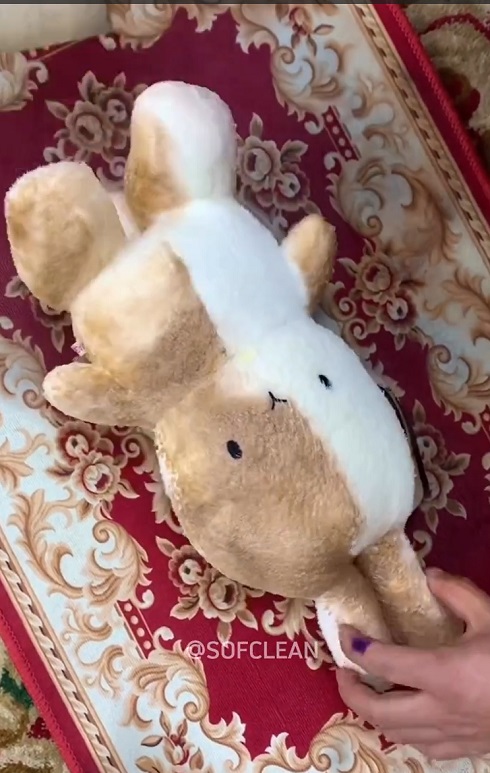 うさちゃんクリーニング02