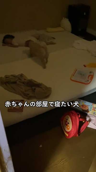 一直線に赤ちゃんへ