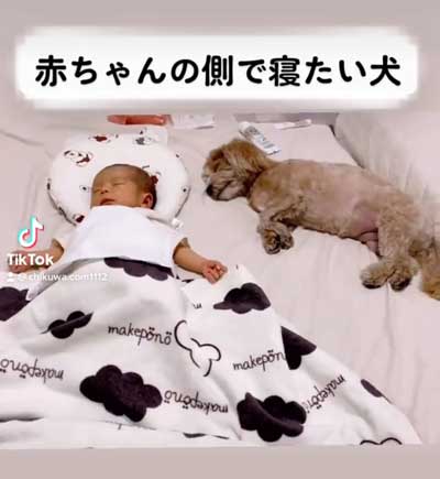 2021年10月ごろの動画