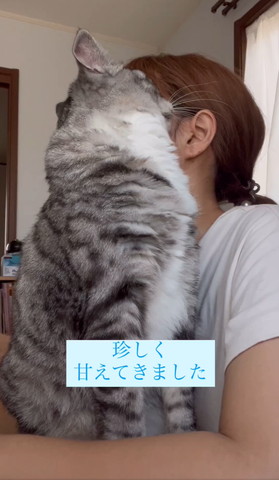 珍しく甘えてきましたテロップ