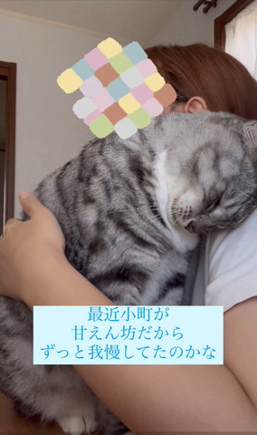 飼い主の方におでこすり寄せる猫