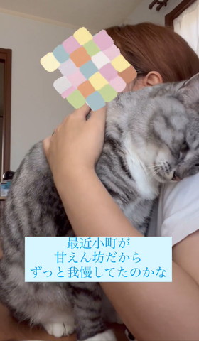 飼い主の肩に寄り添う猫
