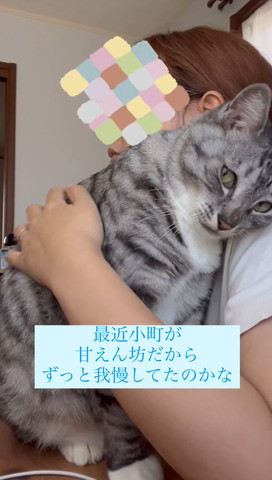 飼い主に寄り添いカメラ目線猫