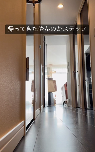 うれしいと“やんのかステップ”をする猫