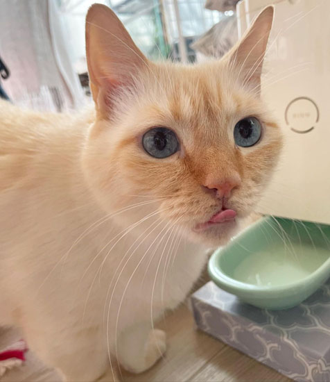 食事が終わったてとくん