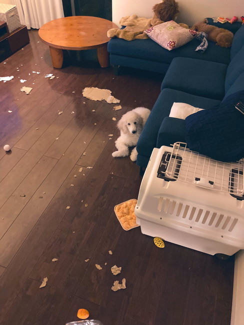 部屋ぐちゃぐちゃ