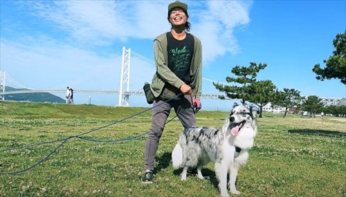 ボーダーコリーのダンス