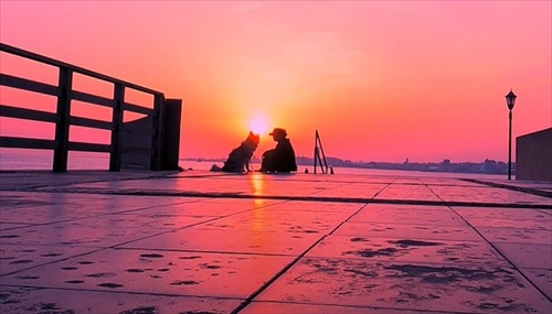 誕生日のボーダーコリー