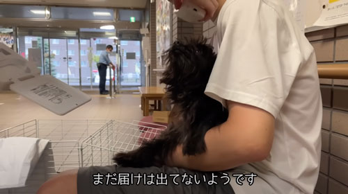 警察署に来たワンコ