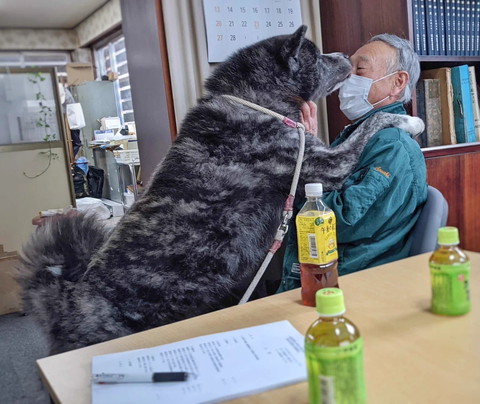 おじさんに肩乗せてるワンコ