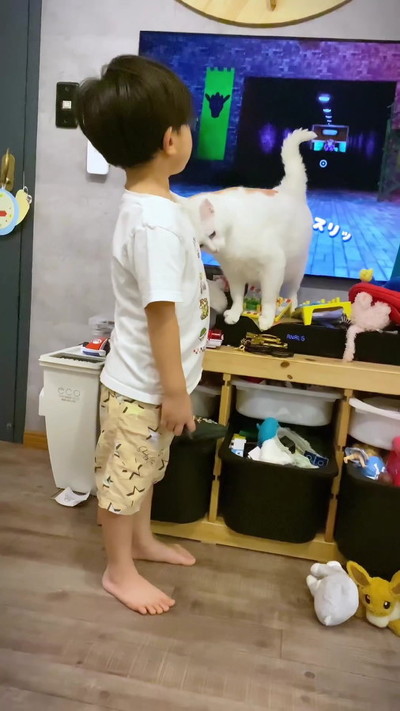 頭突きする猫