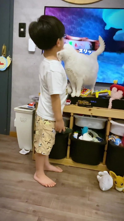 スリスリする猫