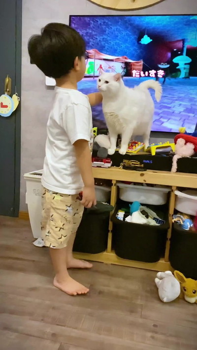 息子大好き猫