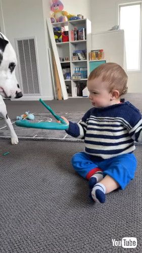 ワンコのおもちゃを手に取る赤ちゃん