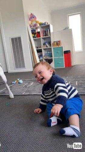 おもしろくて仕方がない