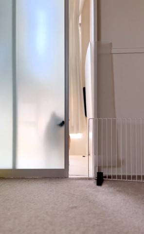 鼻でドアを閉めるワンコドア結構あいてる