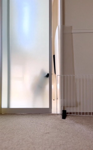 鼻でドアを閉めるワンコドア少しあいてる