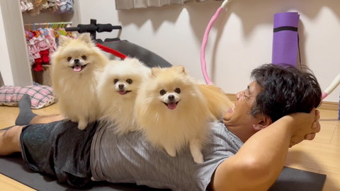 パパさんのお腹に乗るワンコたち