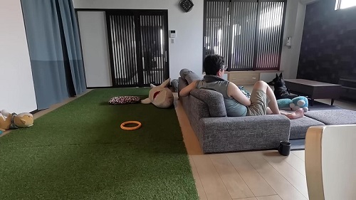 パパとシェパード