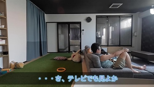 テレビを見るシェパード
