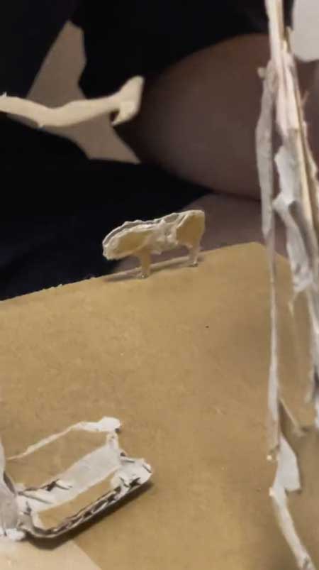 ダンボール 影絵 志村けん 再現 アート 作品