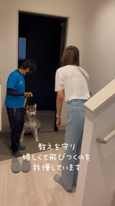 1カ月ぶりに預託訓練から帰ってきたハスキー