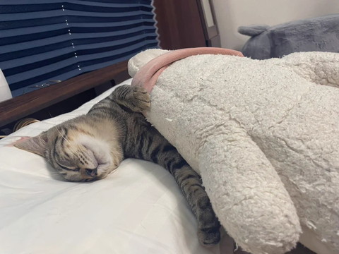 まどろみ笑顔のワンコ寄り