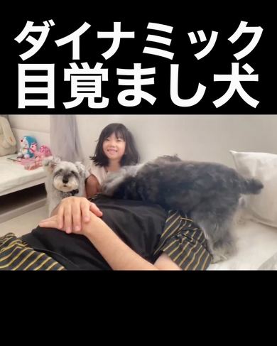 ダイナックな目覚まし犬