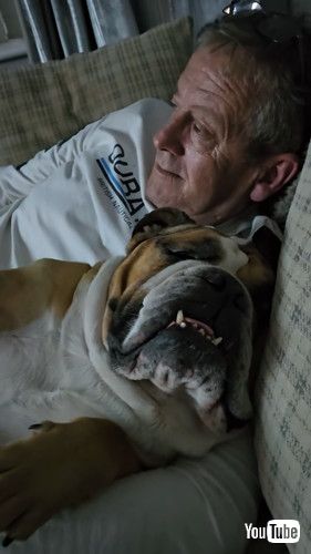 パパと眠るブルドッグ