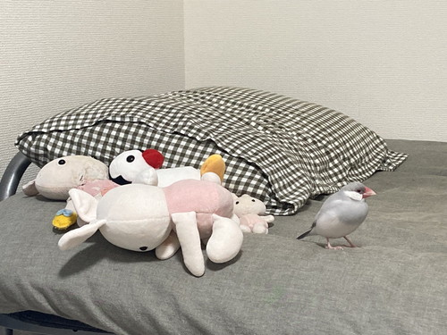 おやつ食べるおいりくんとこいもちゃん