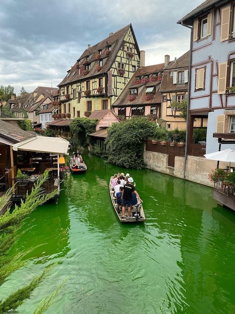 コルマール フランス ハウルの動く城 ご注文はうさぎですか