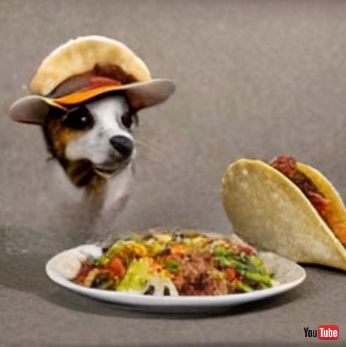 生成AI フィクション タコス