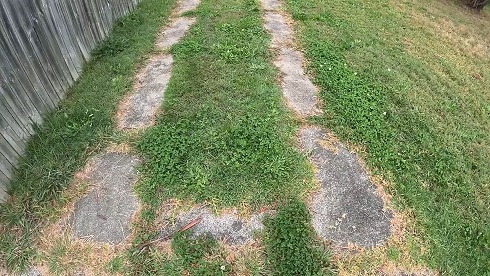 お庭きれいにしよう01